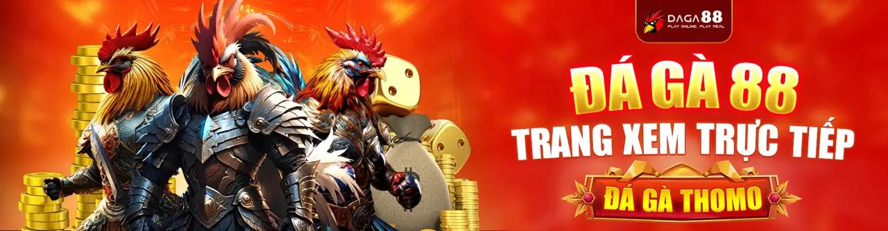 Luật chơi Dragon Tiger tại mebet chính thức